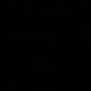 Meet your Posher, Daniela